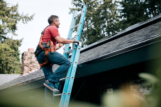 Best Asphalt Shingles Roofing  in Howards Grove, WI